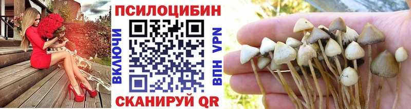 Галлюциногенные грибы GOLDEN TEACHER  Николаевск 